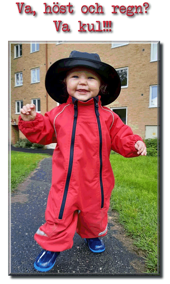 Höst, regn