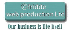 fridde web production